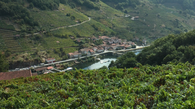 A paisaxe cultural da Ribeira Sacra xa é BIC