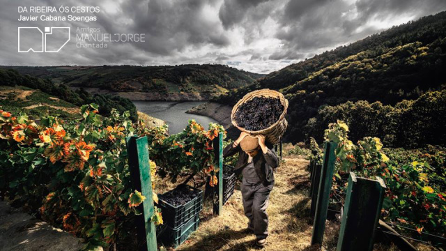 Vendimas e viña, protagonistas das fotos gañadoras do concurso 'Viña Sacra'