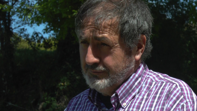 Randolfe, o pintor gandeiro que respira as cores do rural