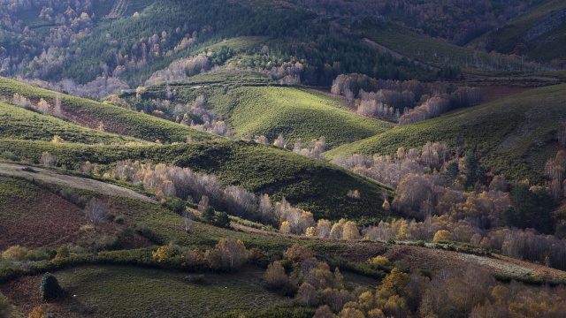 Unha web para a candidatura da Ribeira Sacra ante a Unesco