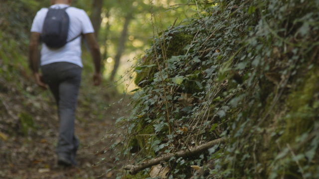 Ruta da Curuxeira: sendeirismo de outono en Pantón