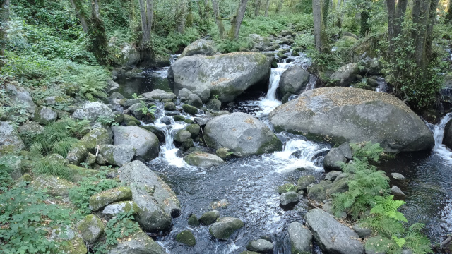 Os cachóns do río Asma